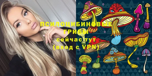 spice Данков